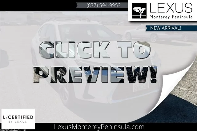 2025 Lexus UX