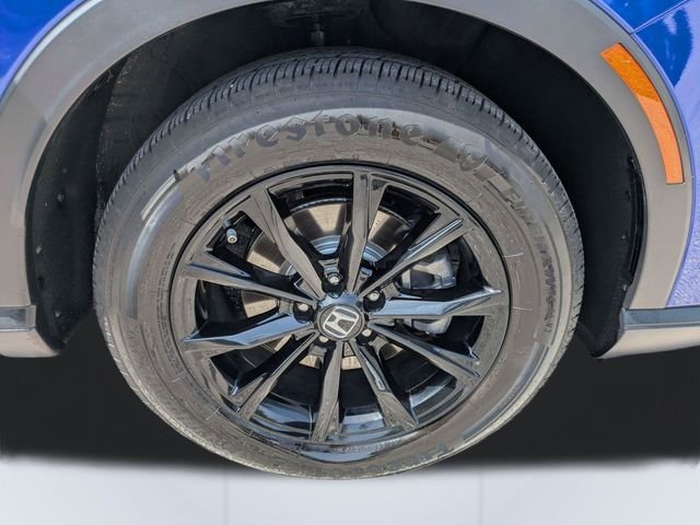 Used 2023 Blue Honda Sport image 11