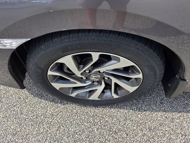 Photo 18
