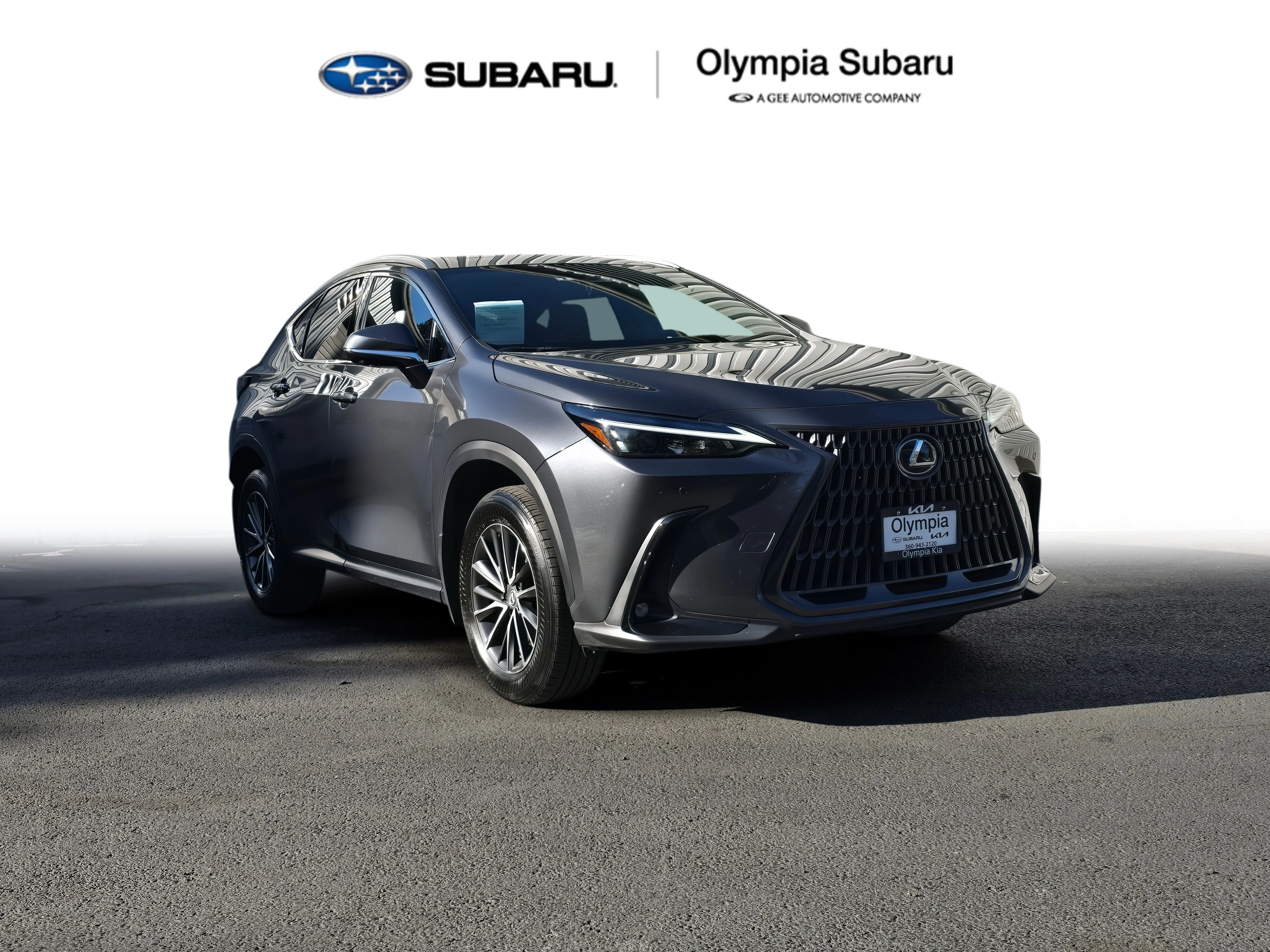 2024 Lexus NX 350 350 Premium AWD's photo