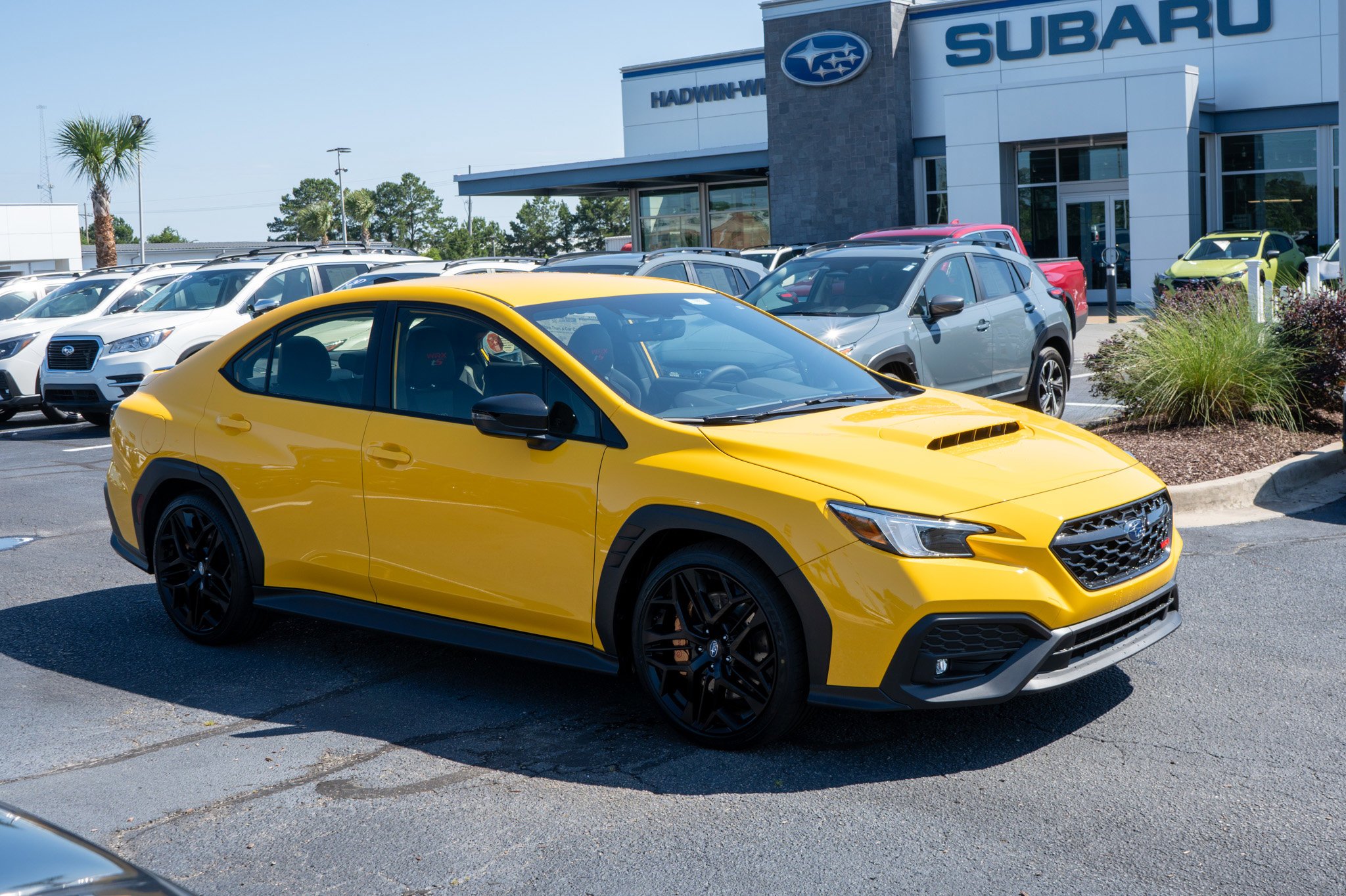 New 2026 SUNRISE YELLOW Subaru Series.Yellow image 1