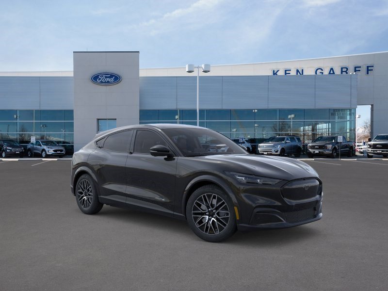 New 2026 Shadow Black Ford Premium image 8