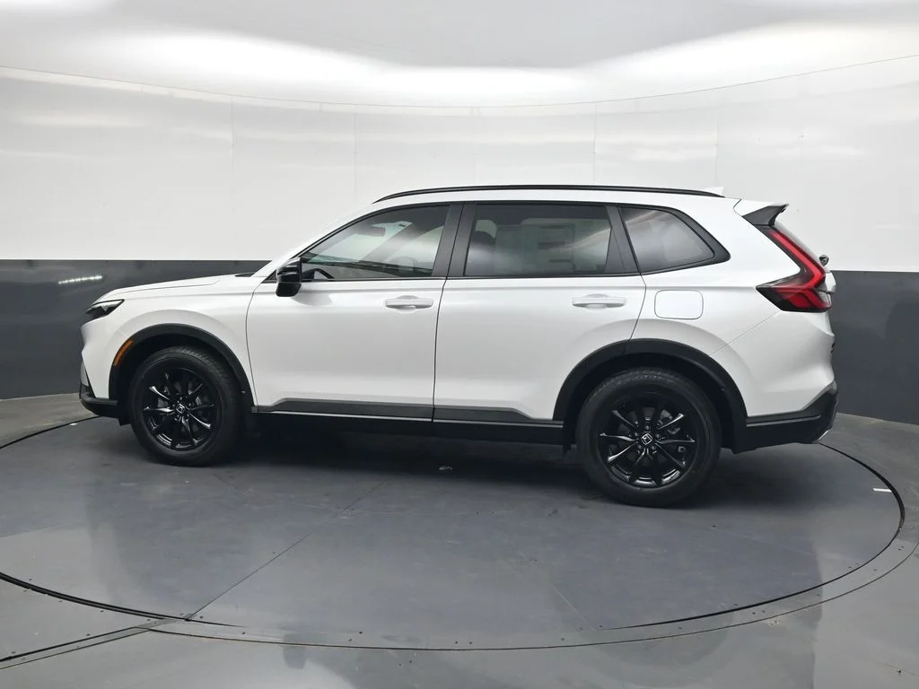 New 2026 Platinum White Pearl Honda Sport-L image 7