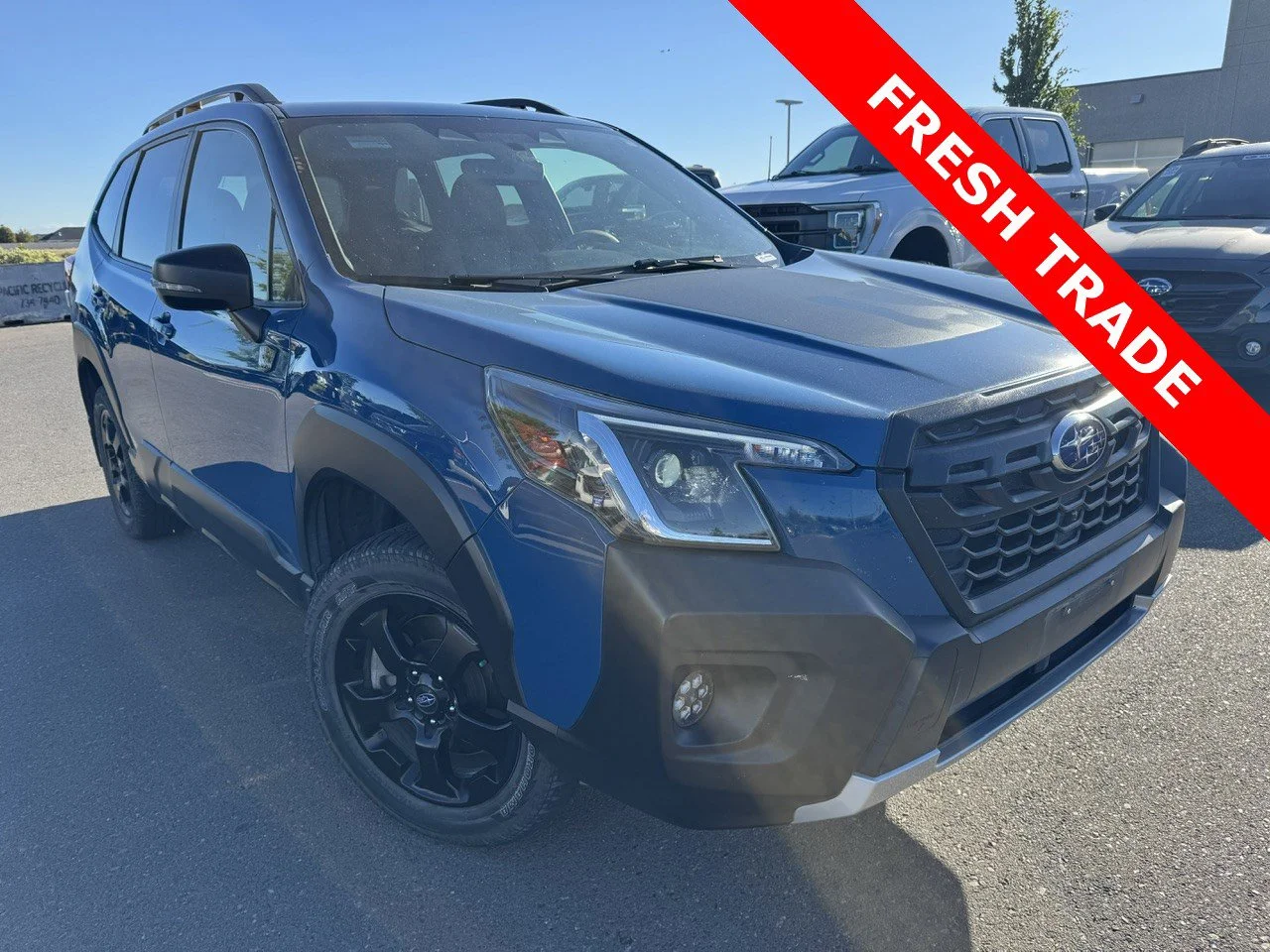2023 Subaru Forester Wilderness's photo
