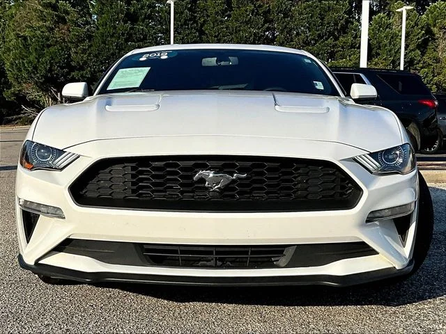 Used 2019 White Ford EcoBoost image 2