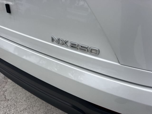 2023 Lexus NX 250 - Photo 25