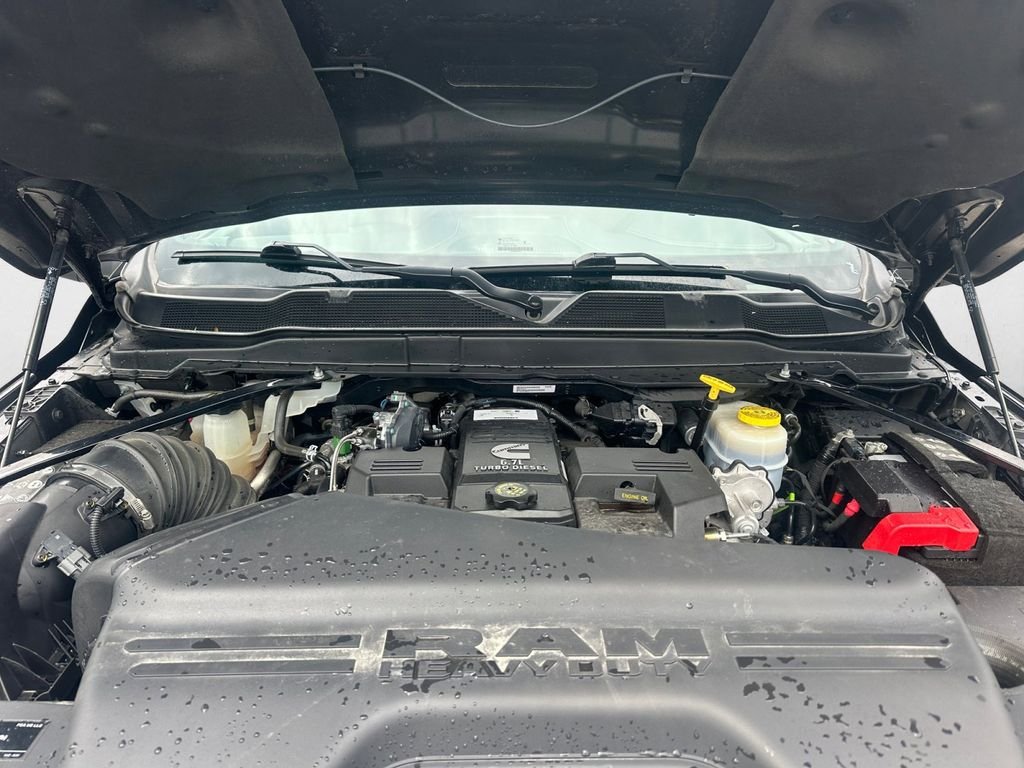 Used 2024 Black Ram Limited image 14