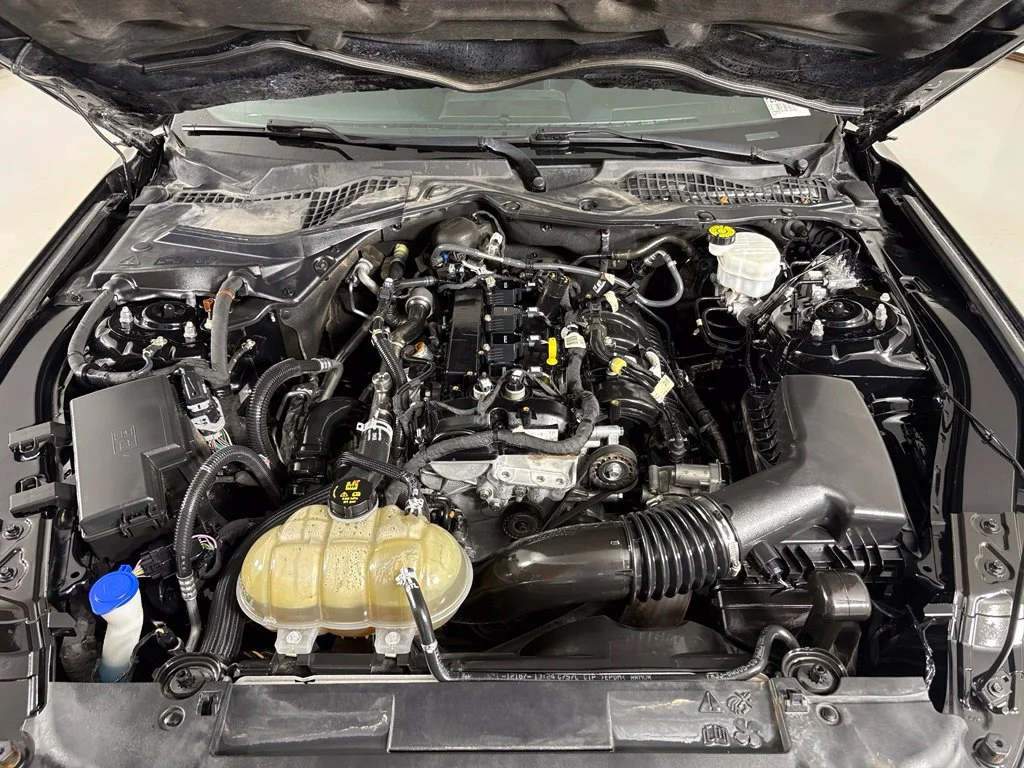 Used 2021 Black Ford EcoBoost image 43