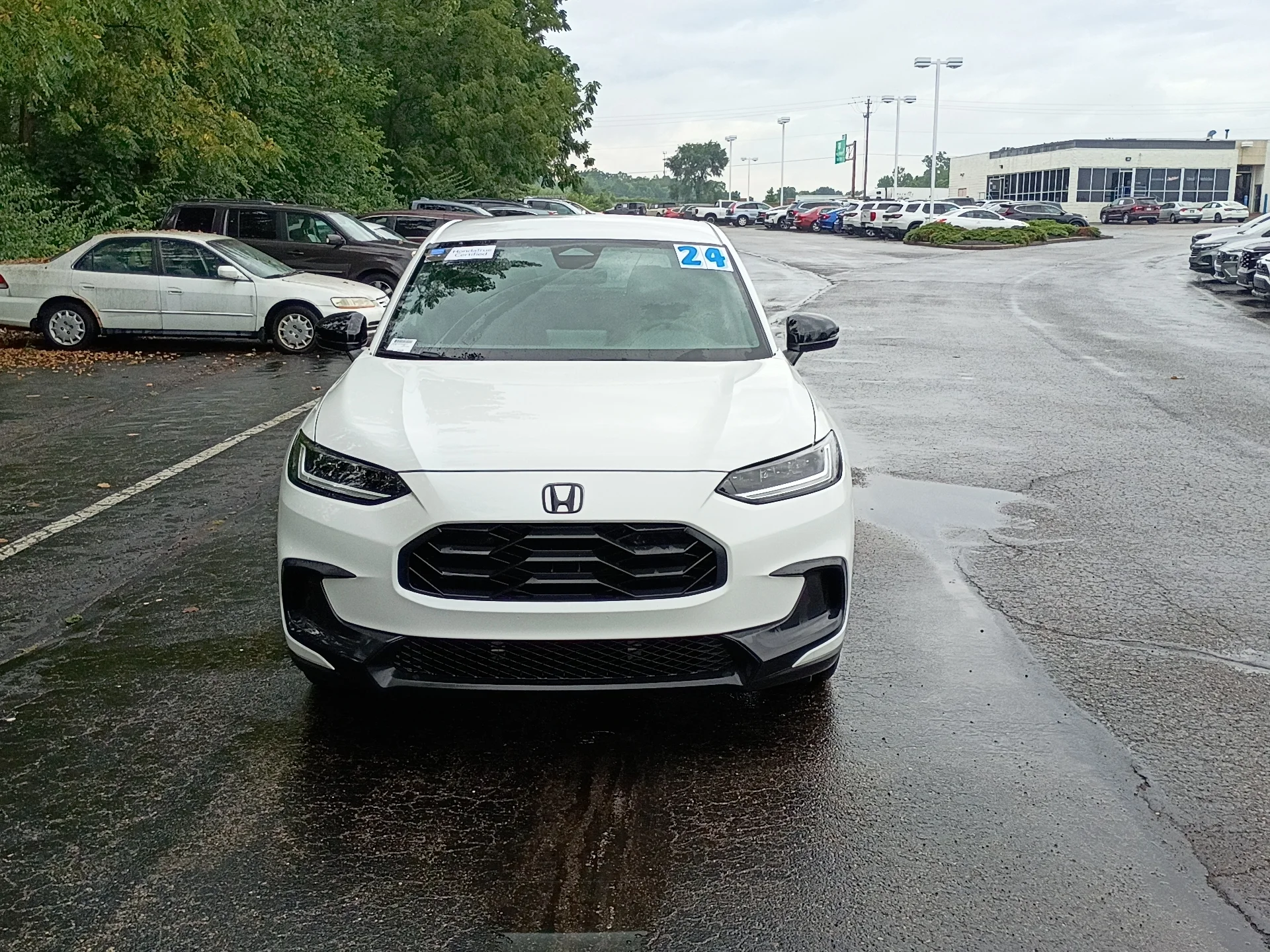Certified Used 2024 Platinum White Pearl Honda Sport image 8