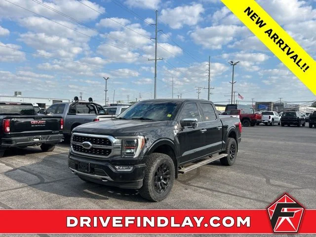 2021 Ford F-150 Platinum 4x4 SuperCrew 145 in's photo