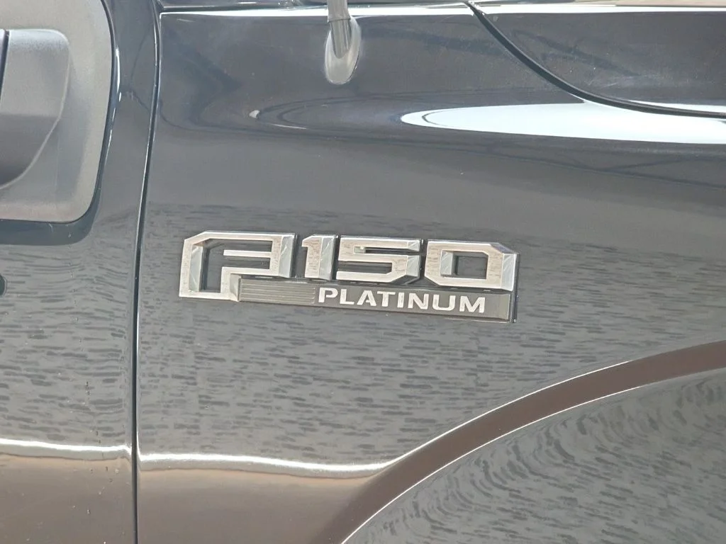 Used 2020 Black Ford Platinum image 10