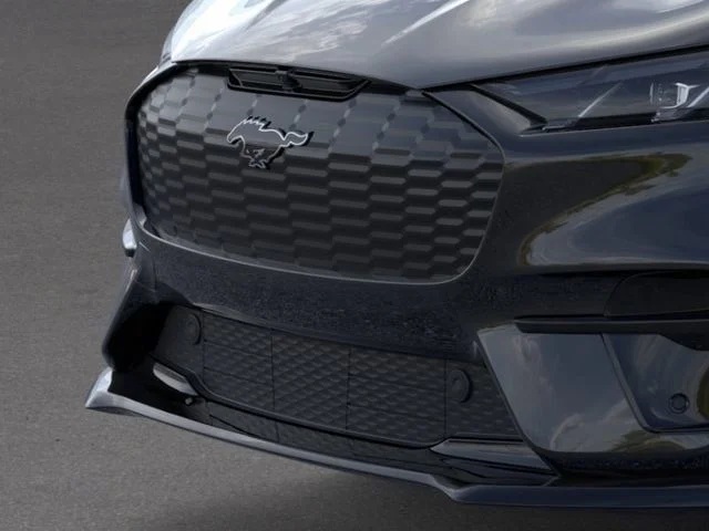 New 2025 Shadow Black Ford GT image 17