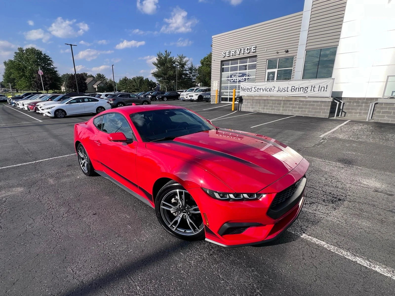 Used 2024 Red Ford EcoBoost image 15