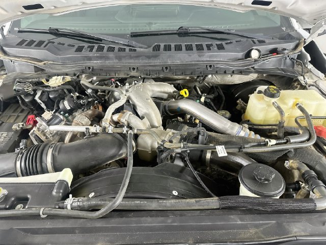 Used 2024 White Ford XLT image 28