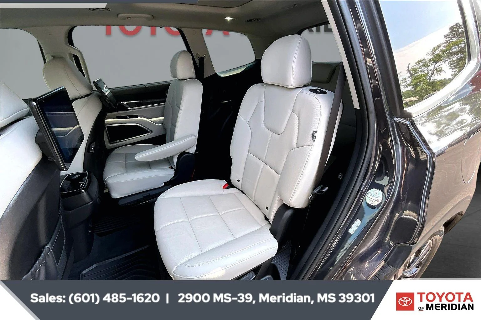 Used 2025 Panthera Metal Kia SX image 19