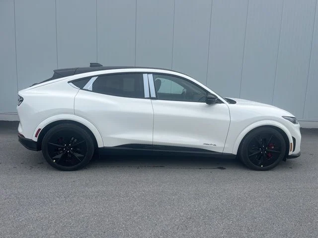 2025 Ford Mustang Mach-E GT - Photo 20