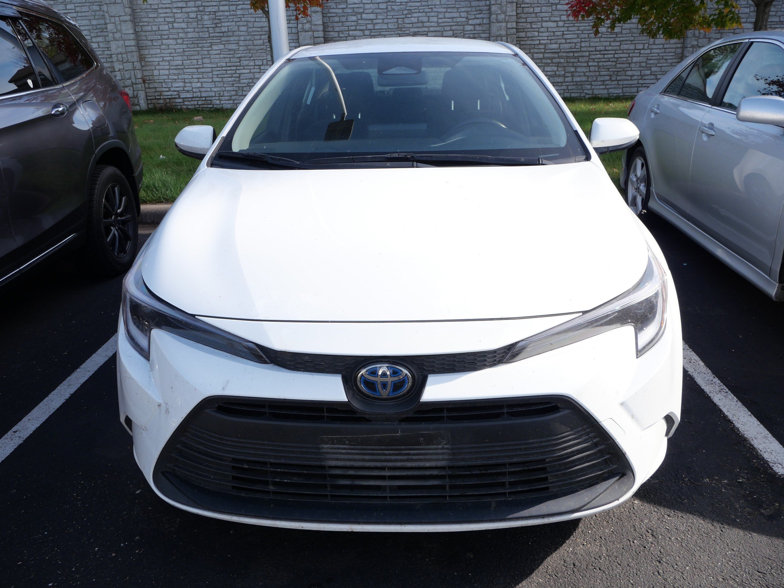 Used 2025 Ice Cap Toyota Hybrid LE image 2