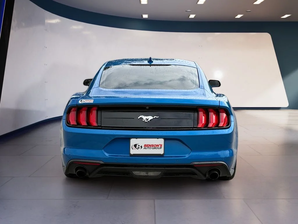 Used 2021 Blue Ford EcoBoost image 4