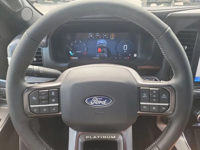 New 2026 Black Metallic Ford Platinum image 32