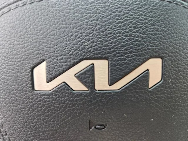 Used 2025 Everlasting Silver Kia EX image 34