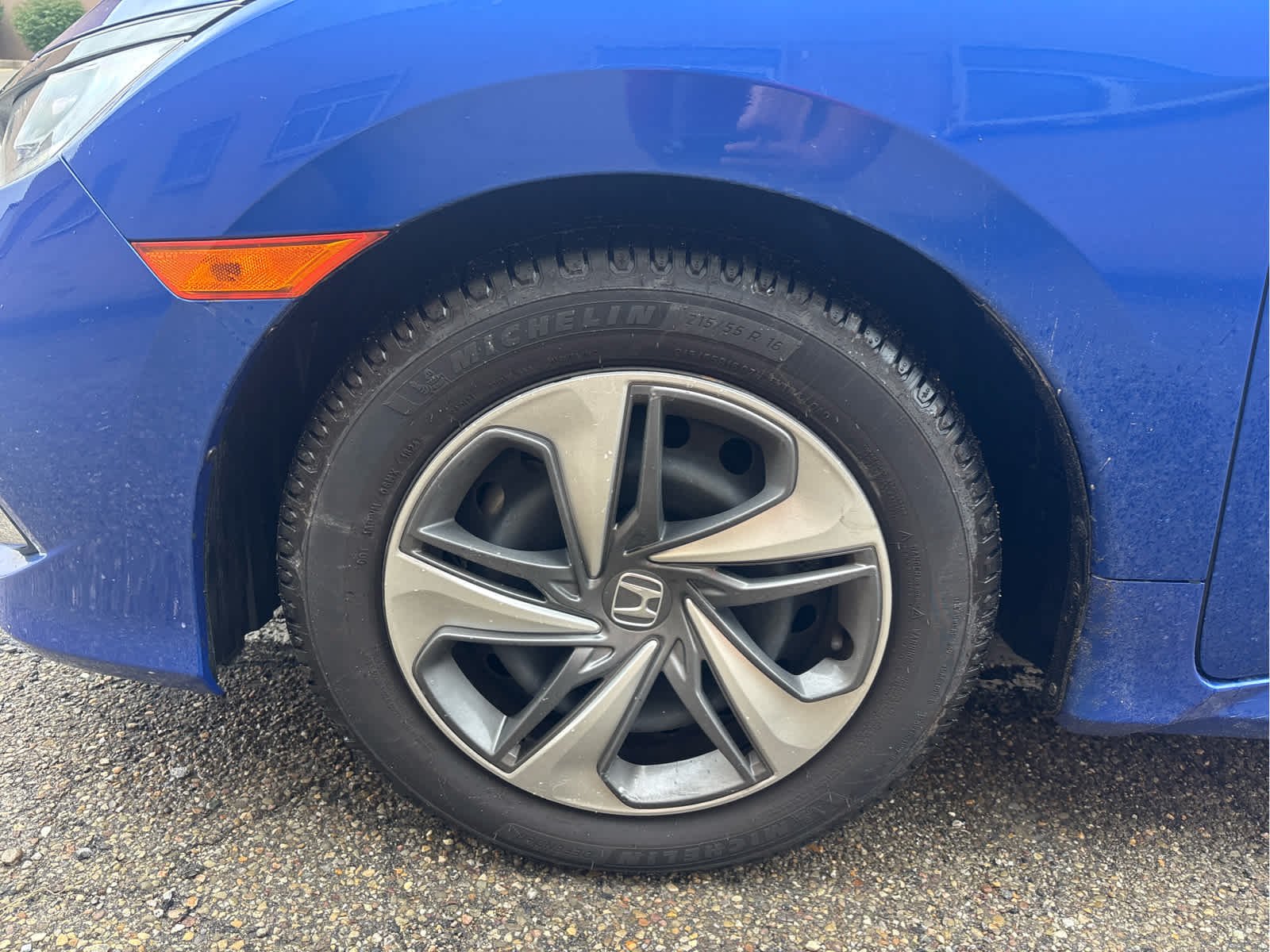 Used 2019 Aegean Blue Metallic Honda LX image 17