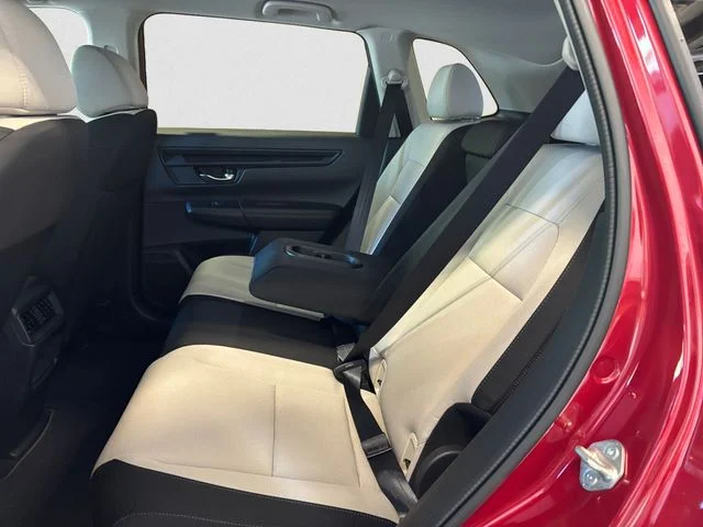New 2027 Red Honda LX image 14