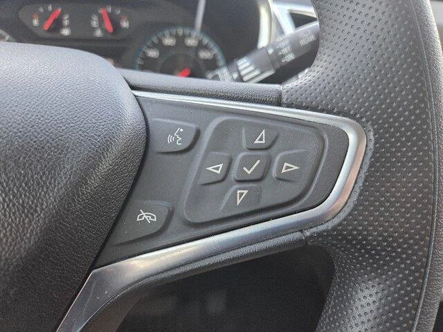 Used 2019 Ivy Metallic Chevrolet LS image 14