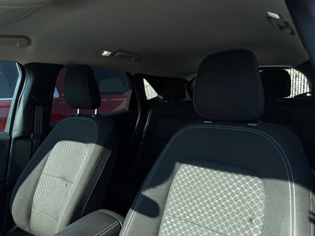 Used 2024 Race Red Ford Active image 7