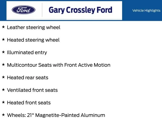 New 2027 Ruby Red Metallic Tinted Clearcoat Ford ST image 19