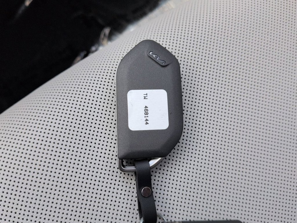 New 2026 Panthera Metal Kia EX image 34