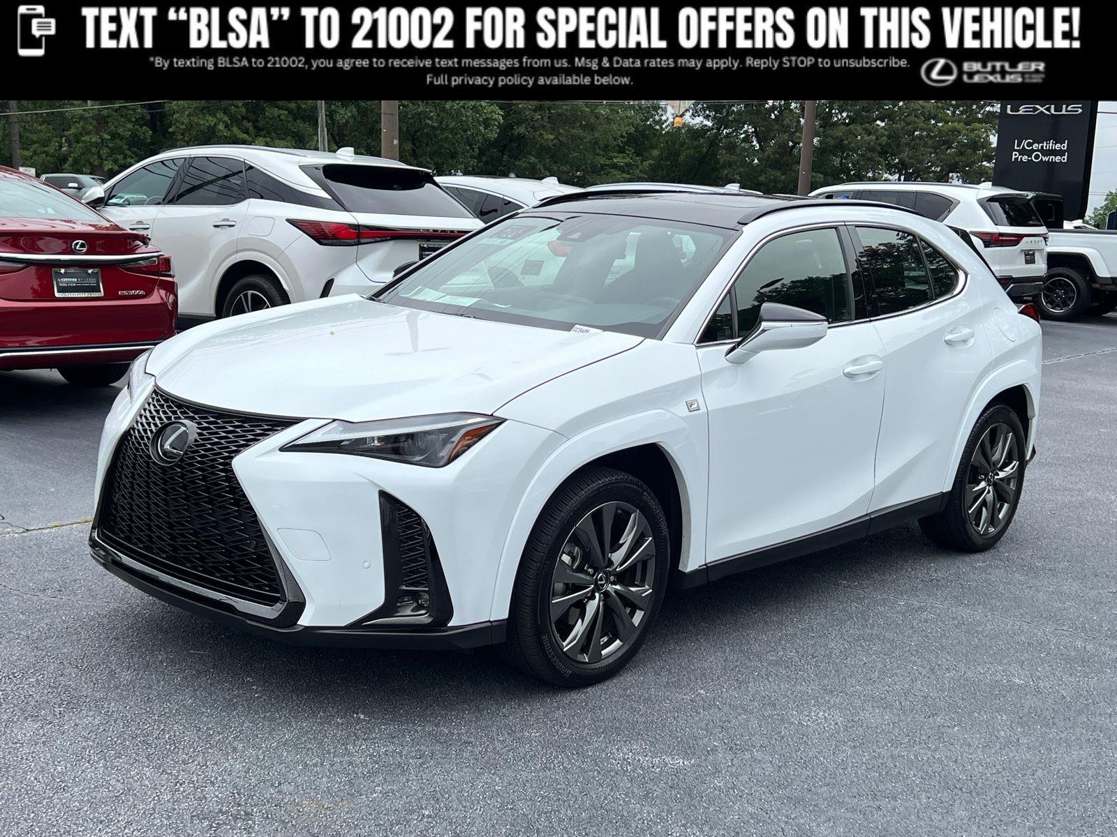 2023 Lexus UX 300h 250h F Sport Handling's photo