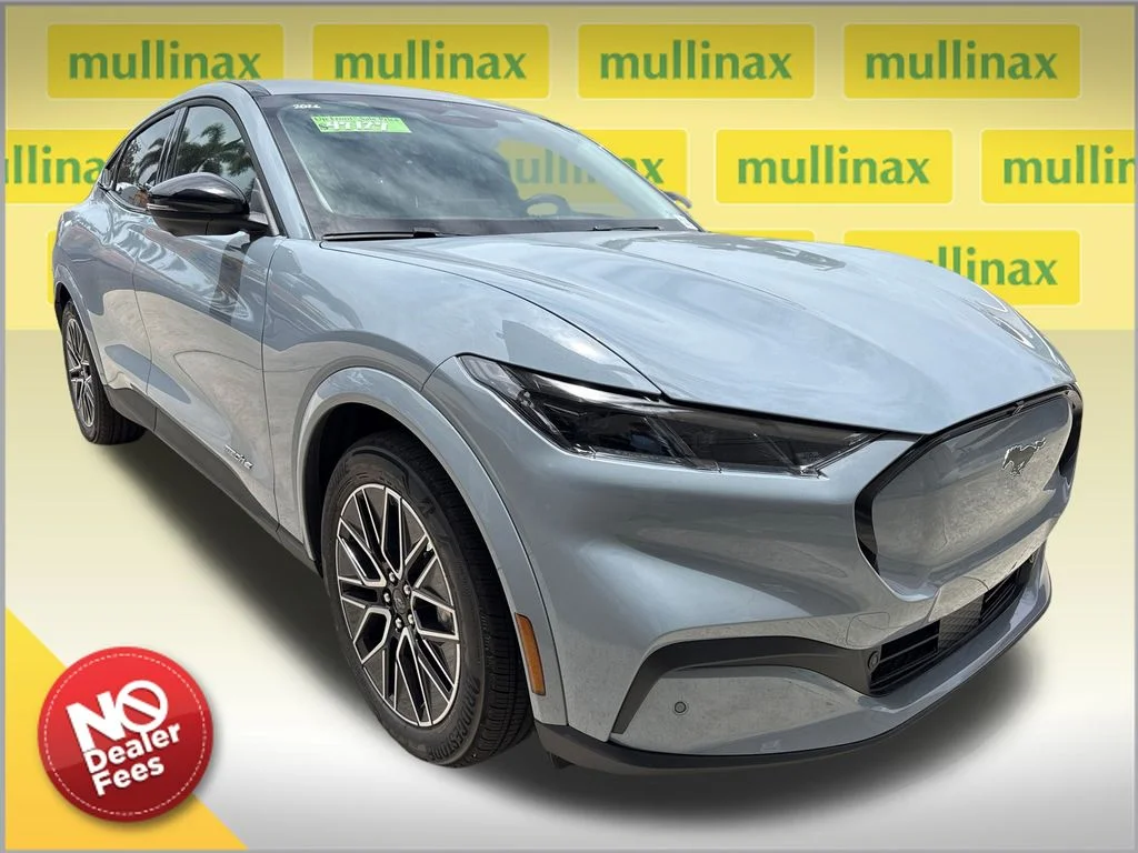 New 2026 Gray Ford Premium image 1