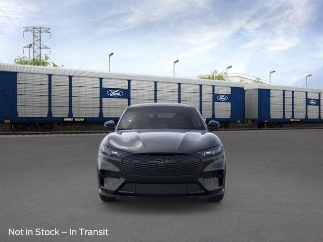 New 2026 Shadow Black Ford Premium image 6
