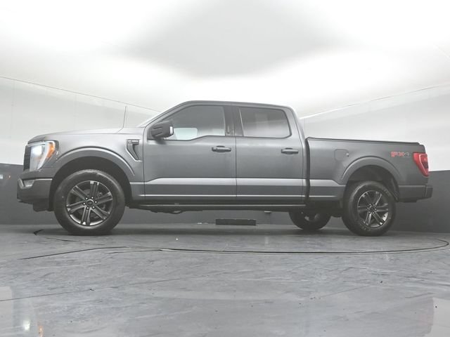 2023 FORD F-150 - Image 32
