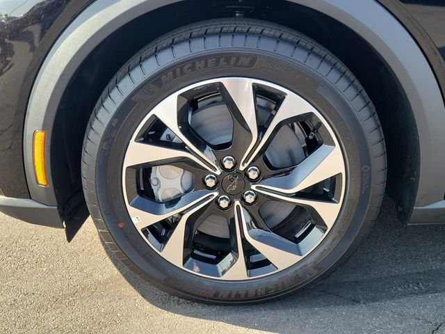 New 2026 Shadow Black Ford Select image 23