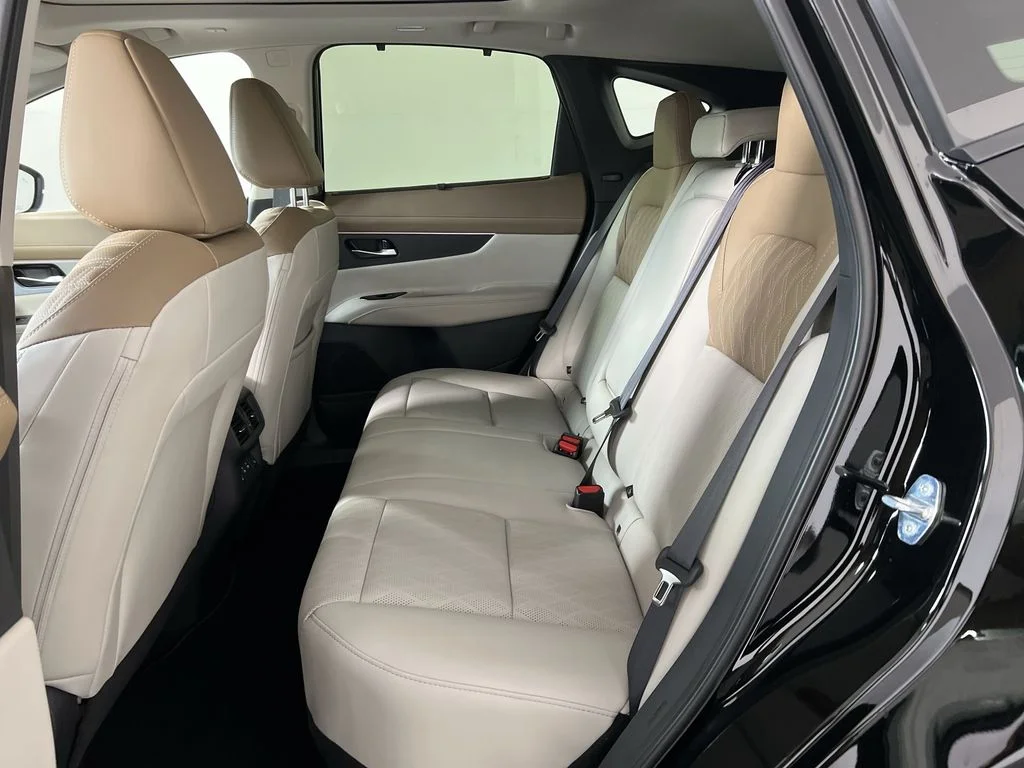 New 2026 Super Black Nissan Platinum image 26