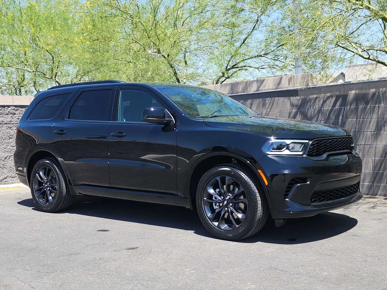 New 2026 Diamond Black Clear-Coat Exterior Paint Dodge GT image 2