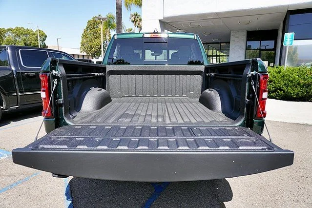 New 2026 Serrano-Green Metallic Exterior Paint RAM Rebel image 18