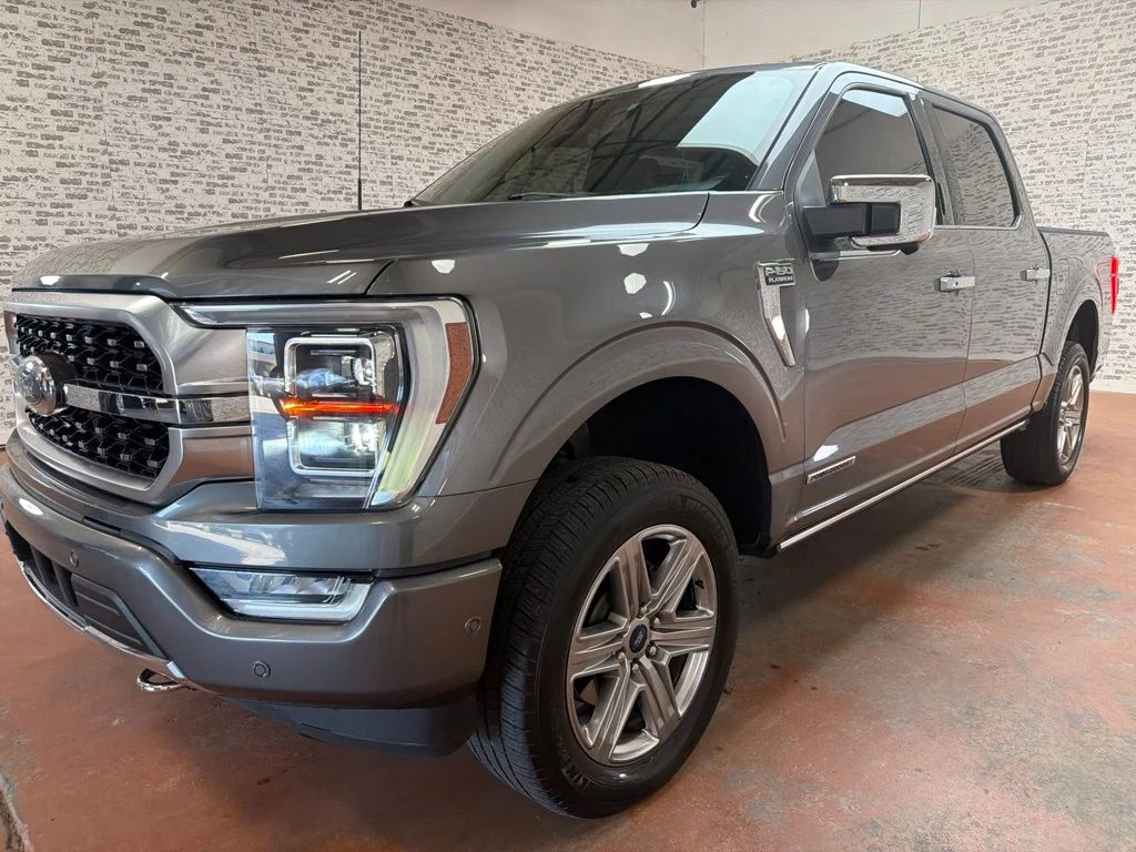 Used 2021 Guard Metallic Ford Platinum image 3