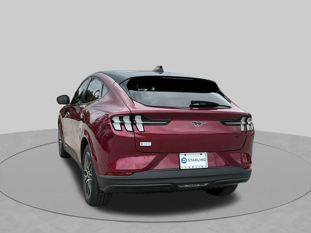 Used 2025 Red Ford Premium image 9