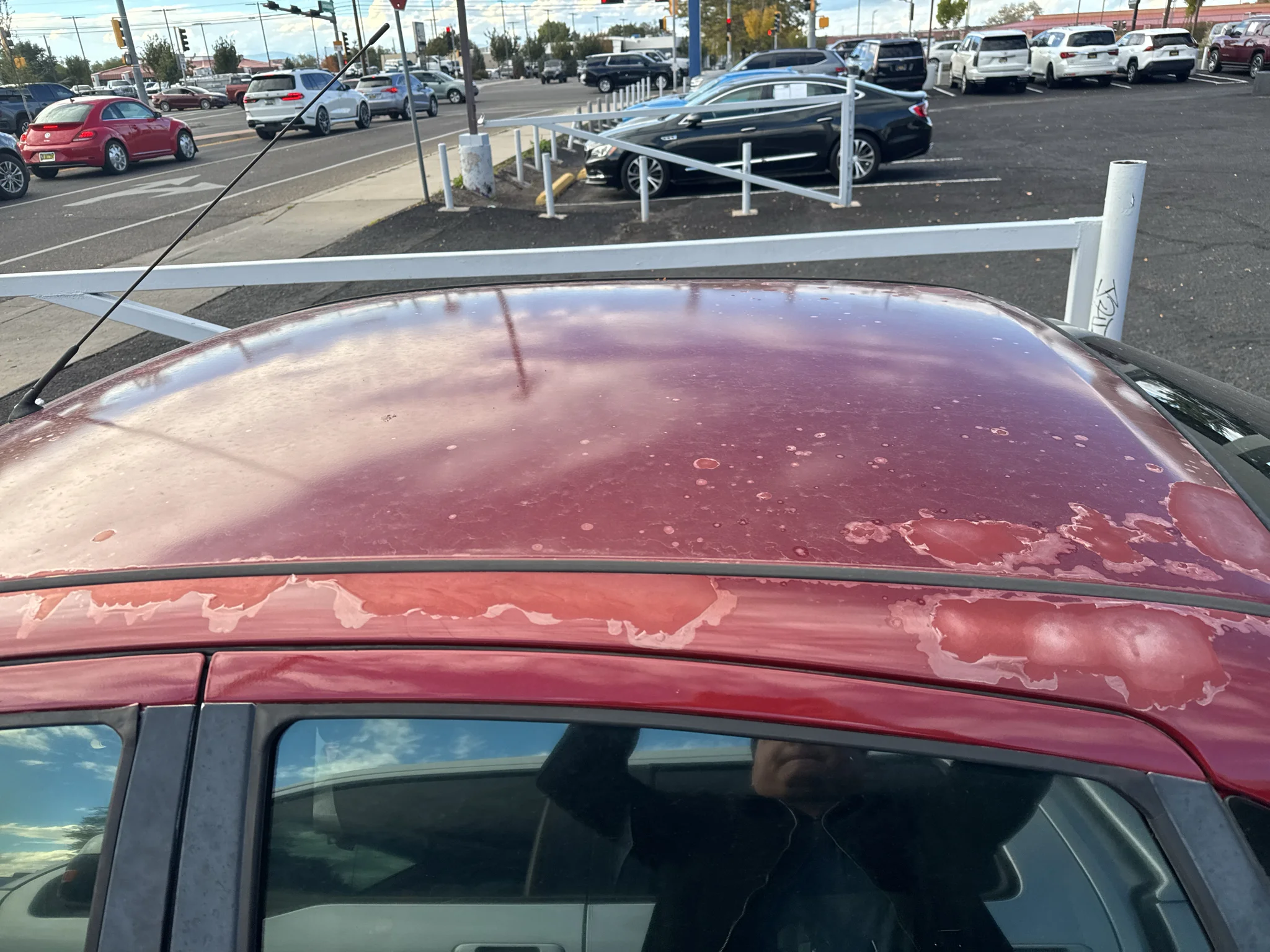 Used 2001 Red Ford SE Comfort w/Zetec image 10