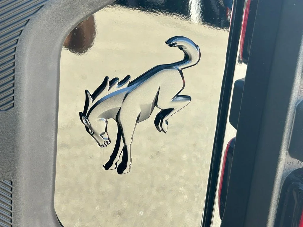 New 2026 Shadow Black Ford Raptor image 23