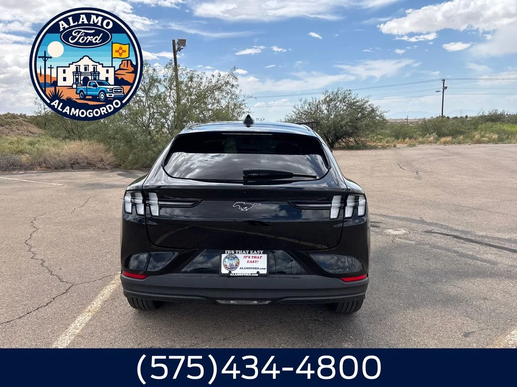 New 2026 Shadow Black Ford Premium image 4