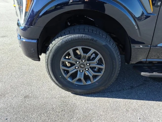 Used 2021 Blue Ford Tremor image 10