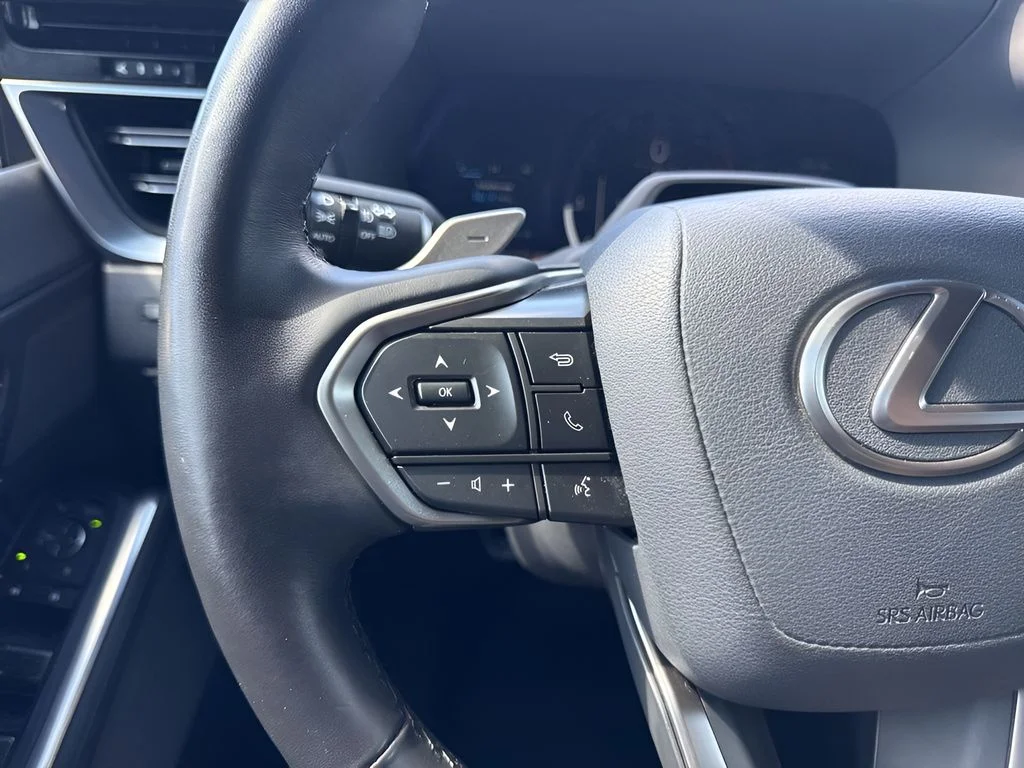 Used 2024  Lexus 550 Overtrail+ image 16