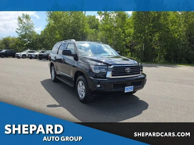 2019 Toyota Sequoia SR5