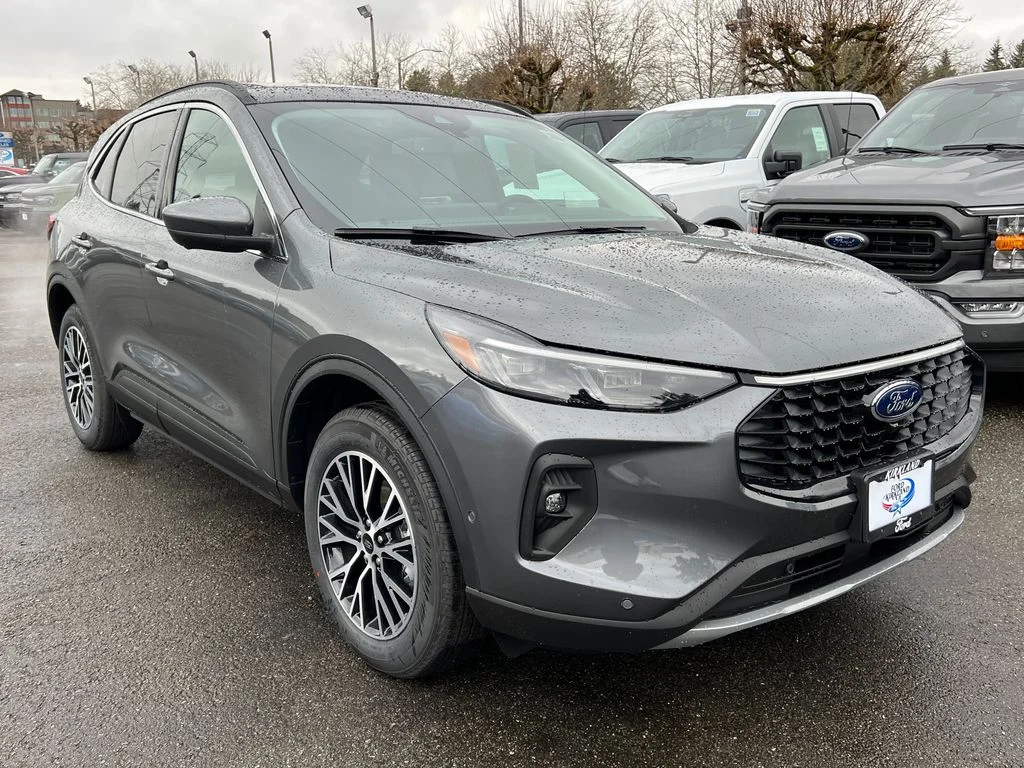 New 2024 Gray Ford Base image 3