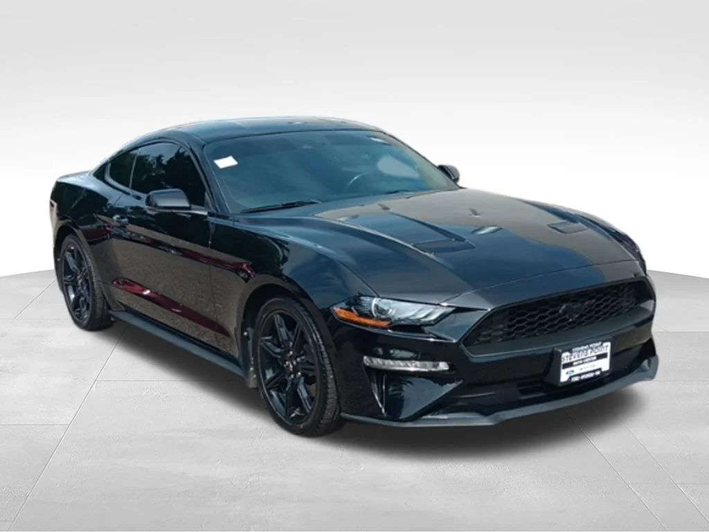 Used 2019 Shadow Black Ford EcoBoost Premium image 14