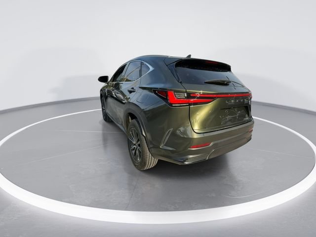 2024 Lexus NX 250 - Photo 6