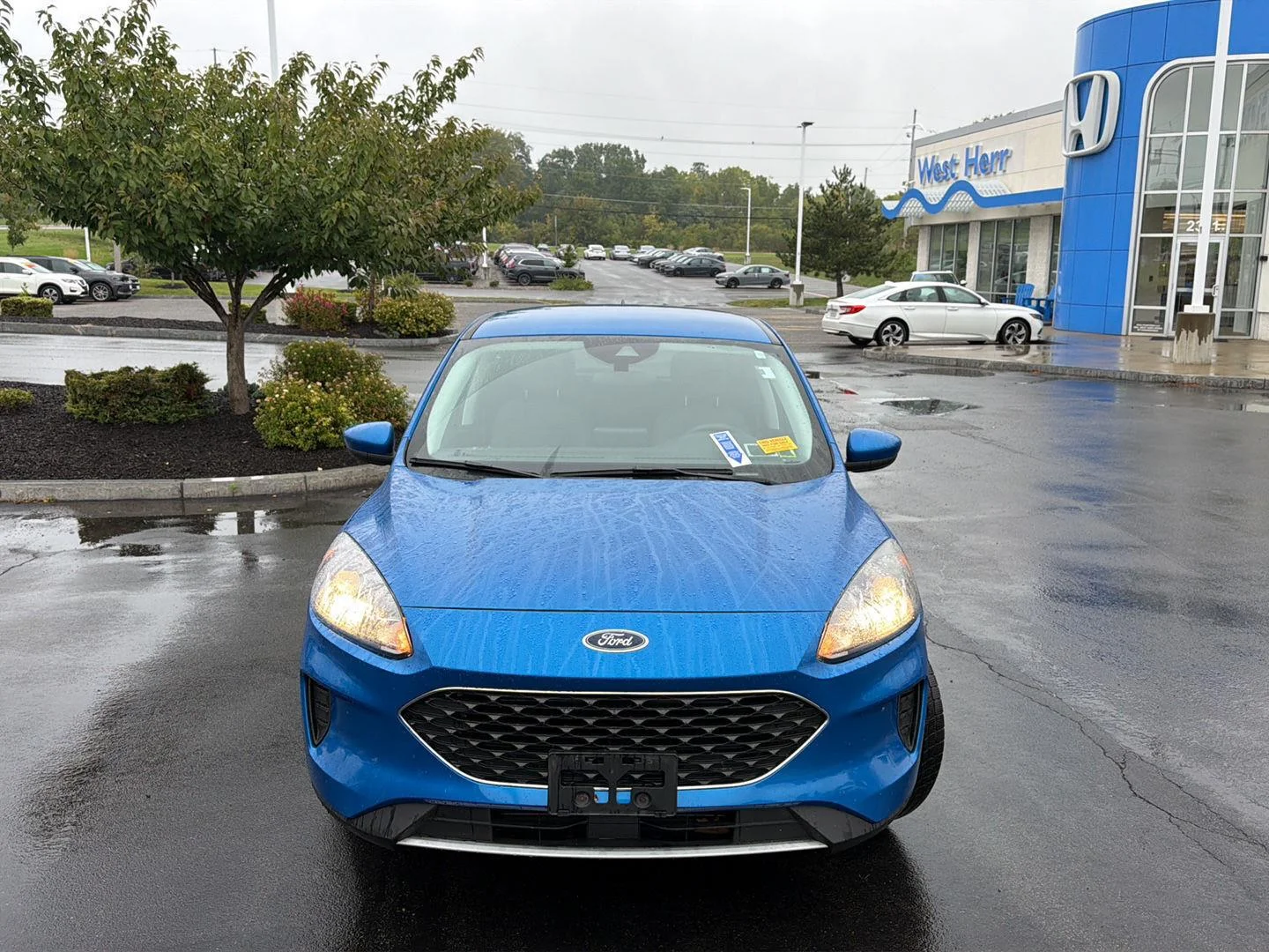 Used 2021 Velocity Blue Ford SE image 2